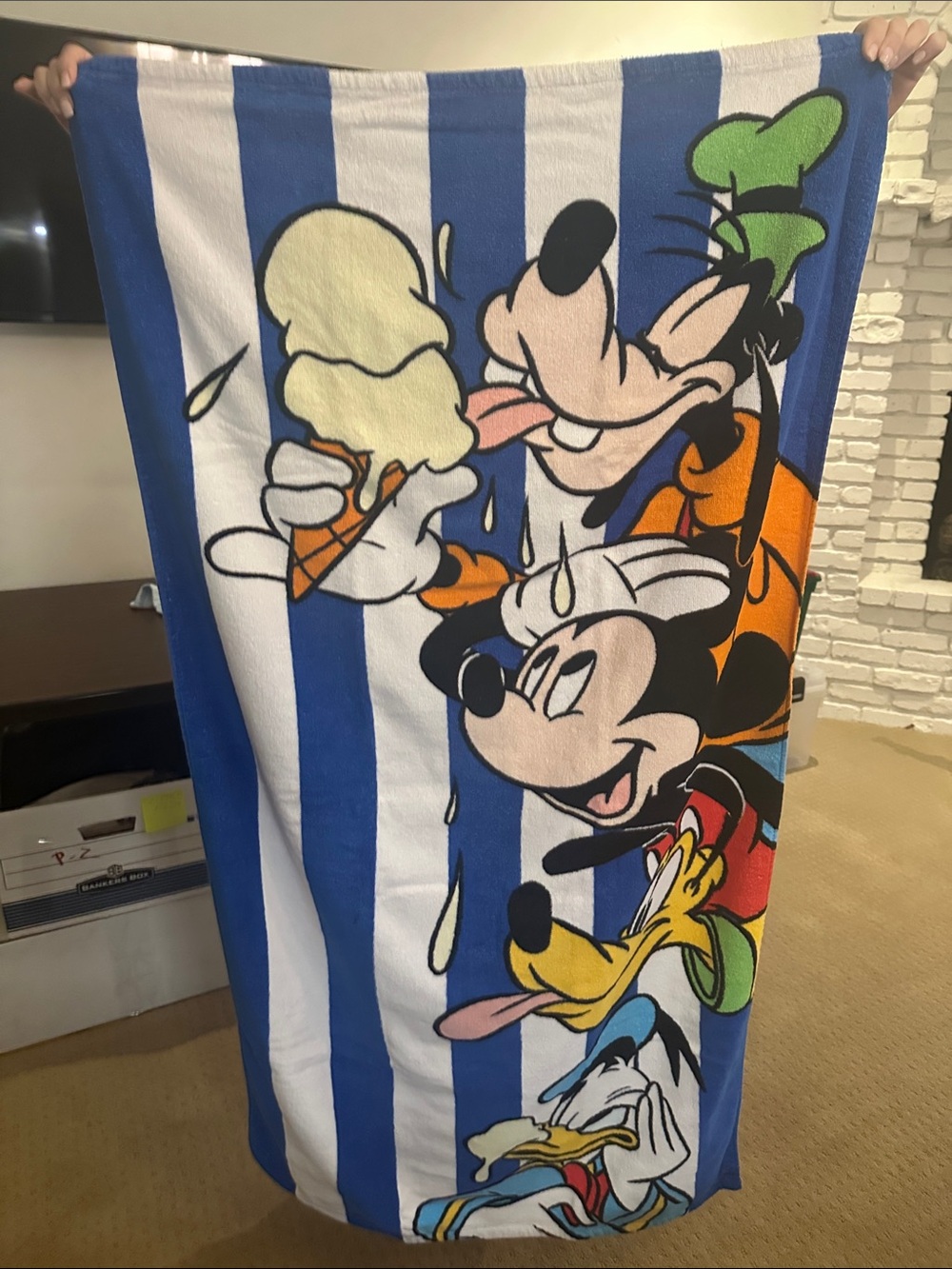 Disney Themed Children’s beach towels